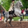 CRW_5916.jpg